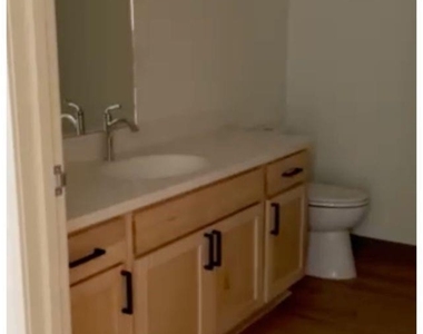 14910 River Retreat Pl - Photo Thumbnail 17