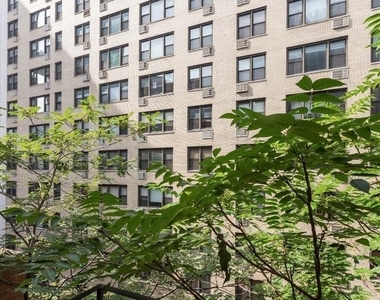 East 35 Street - Photo Thumbnail 12