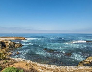 909 Coast - Photo Thumbnail 3