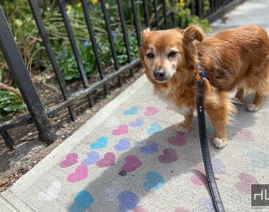 East 13th Street - Photo Thumbnail 16