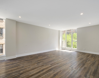 227 E Walton Place - Photo Thumbnail 7