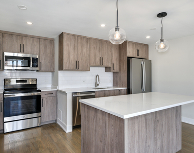 227 E Walton Place - Photo Thumbnail 2