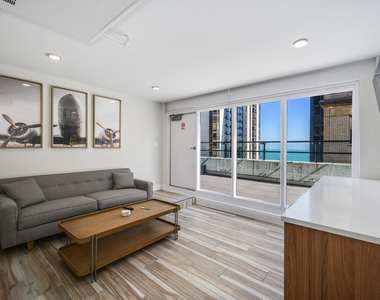227 E Walton Place - Photo Thumbnail 17