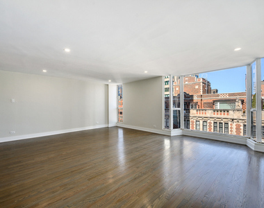 227 E Walton Place - Photo Thumbnail 5