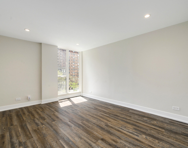 227 E Walton Place - Photo Thumbnail 10
