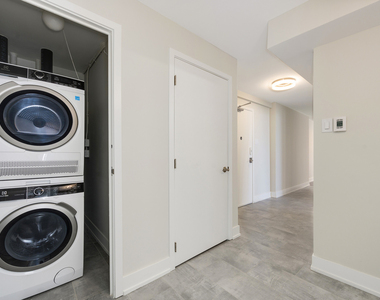 227 E Walton Place - Photo Thumbnail 13