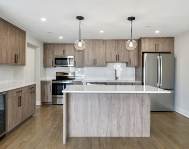 227 E Walton Place - Photo Thumbnail 3