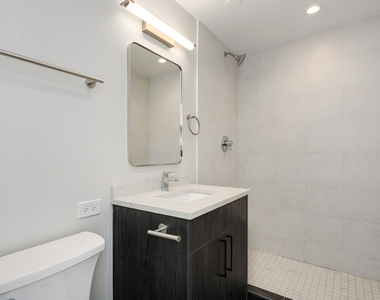 227 E Walton Place - Photo Thumbnail 9