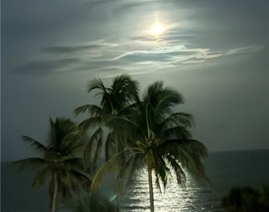 4005 Gulf Shore Boulevard N - Photo Thumbnail 6