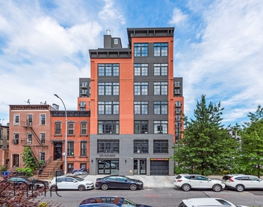 293 Herkimer Street - Photo Thumbnail 7