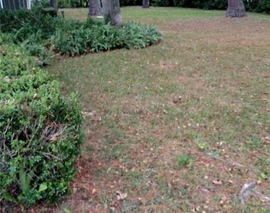 9230 Nw 9th Avenue - Photo Thumbnail 5