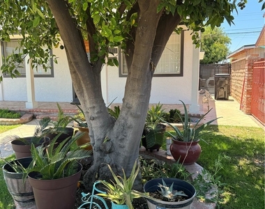 8739 Tyrone Ave - Photo Thumbnail 42