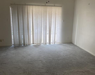 5 Bendwood Drive - Photo Thumbnail 11