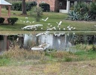 5309 County Road 114d - Photo Thumbnail 3