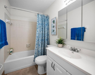 5026 Coquina Key Drive Se - Photo Thumbnail 33