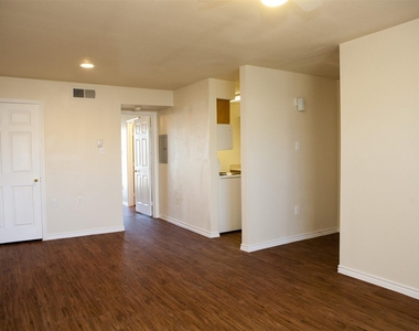 910 North Frio Street - Photo Thumbnail 13