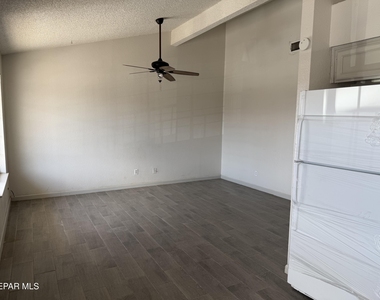 8507 Alameda Avenue - Photo Thumbnail 14