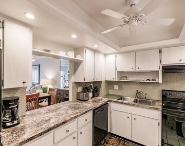 1250 N Portofino Drive - Photo Thumbnail 7