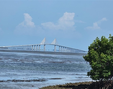 1515 Pinellas Bayway S - Photo Thumbnail 43