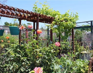 406 Avenida Castilla - Photo Thumbnail 22
