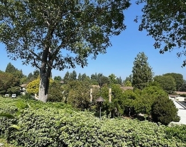 406 Avenida Castilla - Photo Thumbnail 8