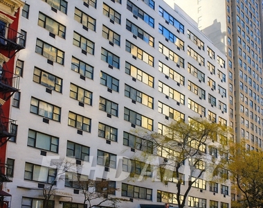E 46th Street - Photo Thumbnail 8