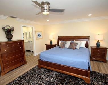 67 Balfour Road - Photo Thumbnail 5