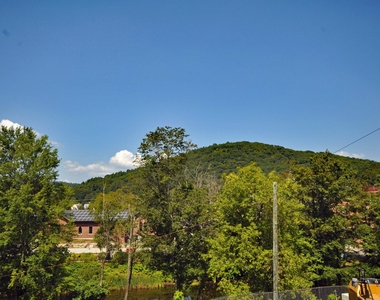 40 Beech - Photo Thumbnail 4