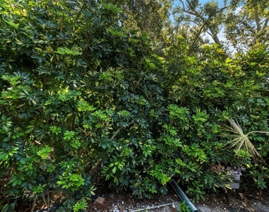 8809 Havenridge Drive - Photo Thumbnail 56