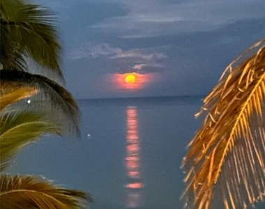 1370 S Ocean Boulevard - Photo Thumbnail 23