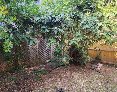 459 M Street Nw - Photo Thumbnail 6
