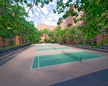 STUYTOWN - Photo Thumbnail 17