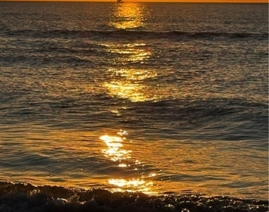 4005 Gulf Shore Boulevard N - Photo Thumbnail 26