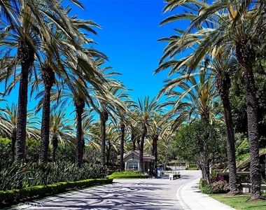 15 Vista Cielo - Photo Thumbnail 37