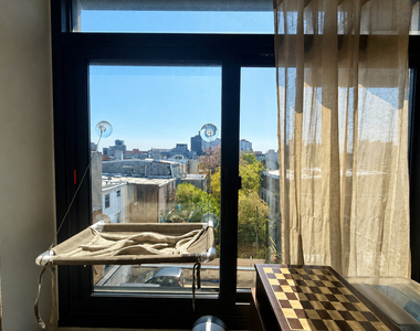 596 Bushwick Avenue - Photo Thumbnail 9