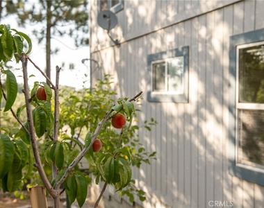 1477 Sequoia Drive - Photo Thumbnail 20