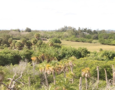 2625 Terra Ceia Bay Boulevard - Photo Thumbnail 20