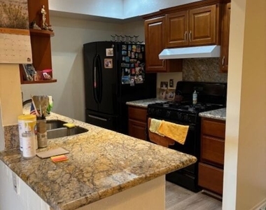 1119 Albany Street - Photo Thumbnail 26