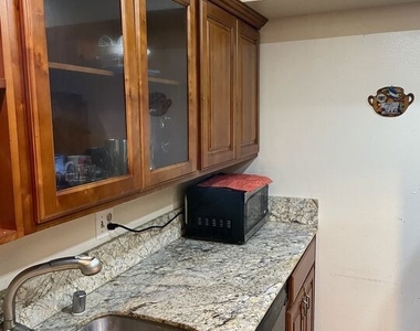 1119 Albany Street - Photo Thumbnail 27