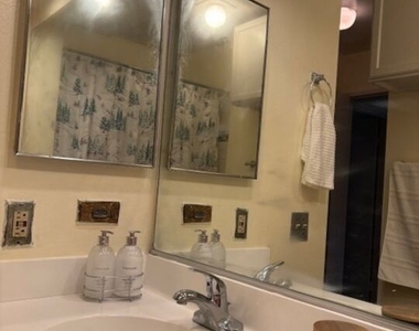 1119 Albany Street - Photo Thumbnail 8