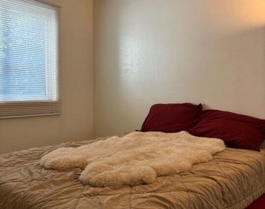 1119 Albany Street - Photo Thumbnail 11