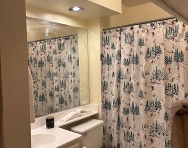 1119 Albany Street - Photo Thumbnail 20