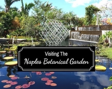 4430 Botanical Place Circle - Photo Thumbnail 20