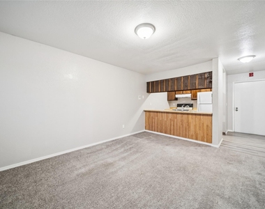 1046 W 26th Ave - Photo Thumbnail 33