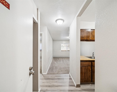 1046 W 26th Ave - Photo Thumbnail 29