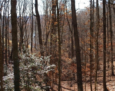2429 Thompson Mill Road - Photo Thumbnail 51