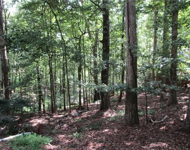 2429 Thompson Mill Road - Photo Thumbnail 48