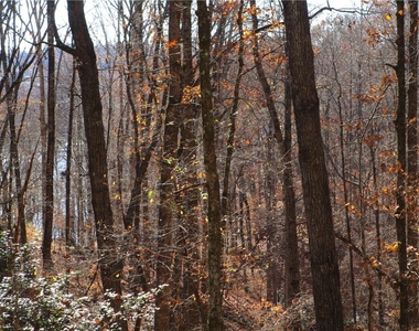 2429 Thompson Mill Road - Photo Thumbnail 50