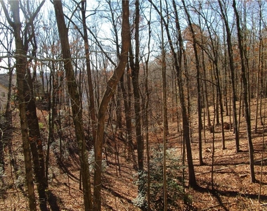 2429 Thompson Mill Road - Photo Thumbnail 49