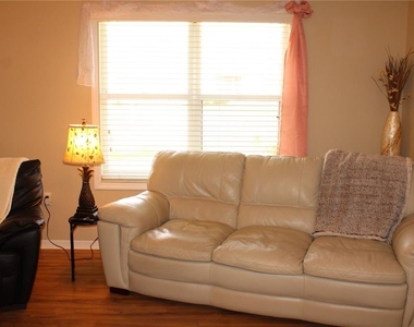 3115 Live Oak Lane - Photo Thumbnail 14